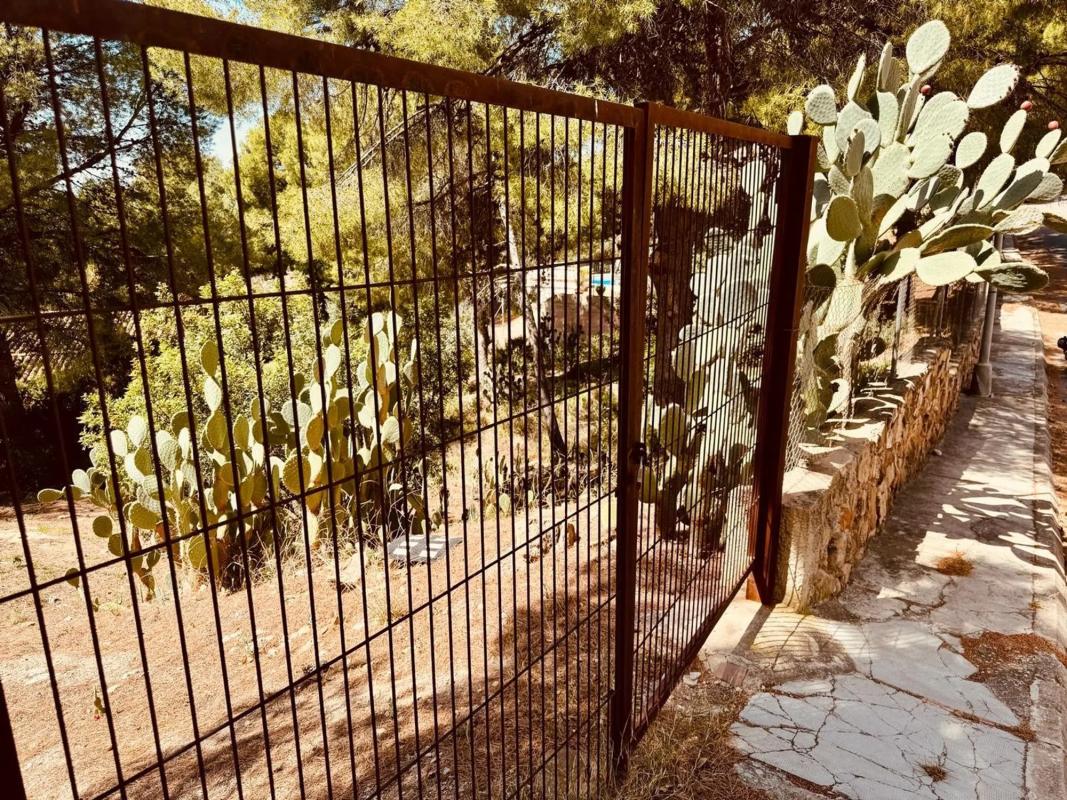 Land for sale in Náquera, Valencia photo 5