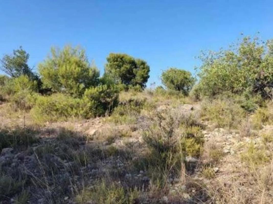 Land for sale in La Pobla de Vallbona, Valencia photo 3