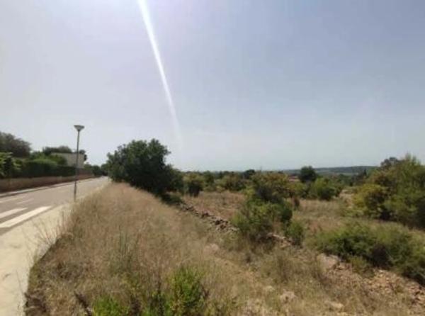 Terreno en calle Tristan thumbnail 2