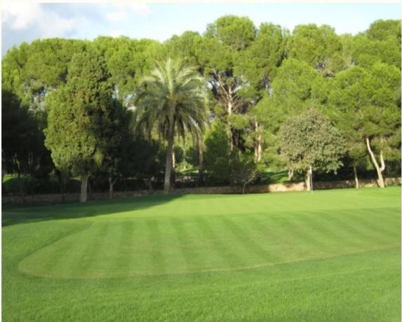 Terreno en Torre en Conill-Cumbres de San Antonio photo 1