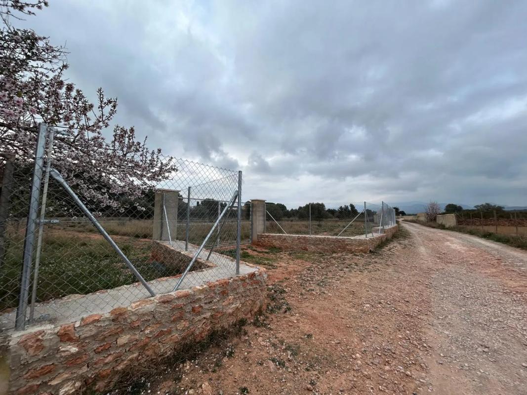 Terreno en venta en Bétera, Valencia photo 4