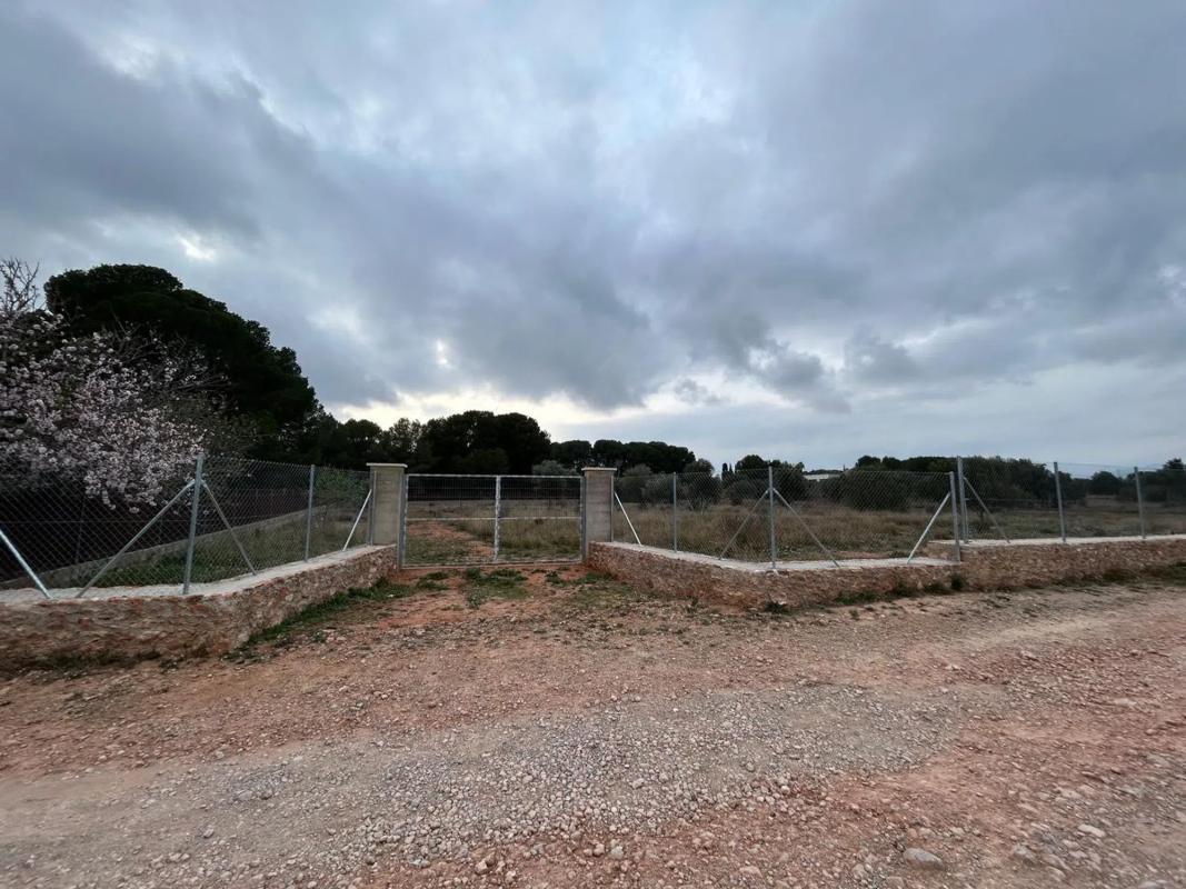 Terreno en venta en Bétera, Valencia photo 5