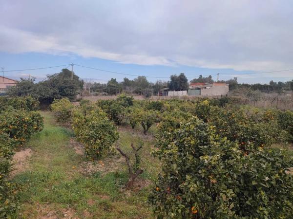 Terreno en plaza Poligono N-37.I, 4 thumbnail 2