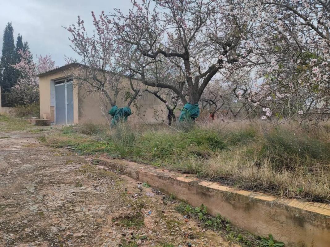 Участок земли на продажу в Ла Попла де Вальбона, Валенсия photo 4