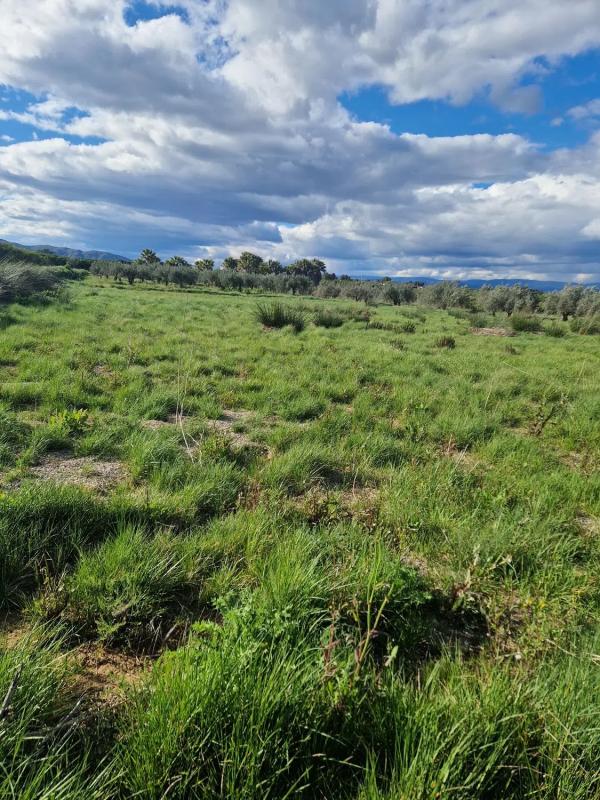 Terreno en venta en Vilamarxant, Valencia photo 2