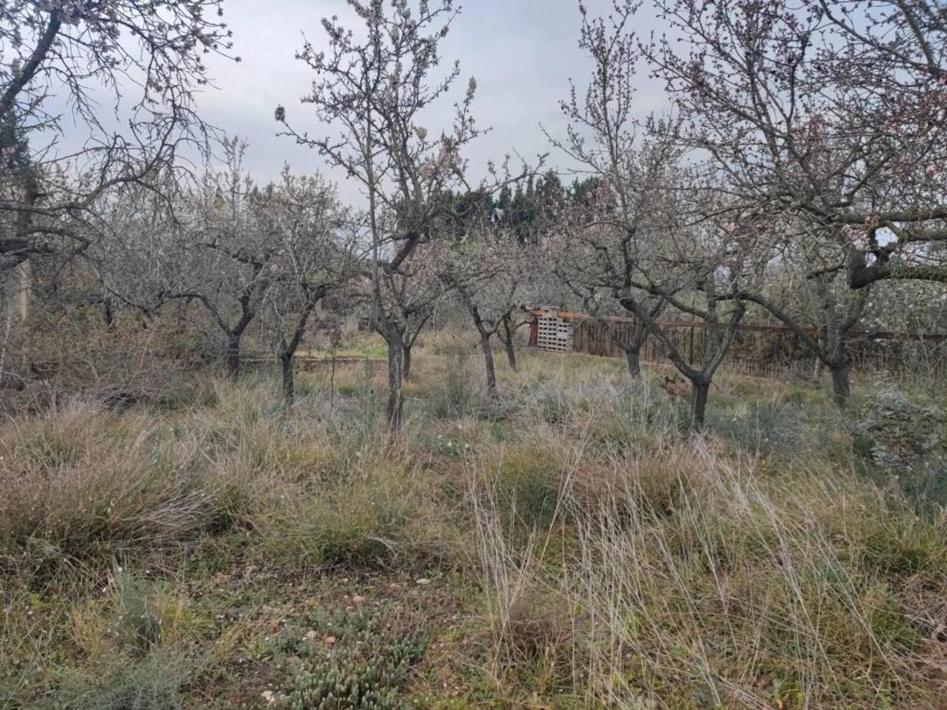 Участок земли на продажу в Ла Попла де Вальбона, Валенсия photo 5