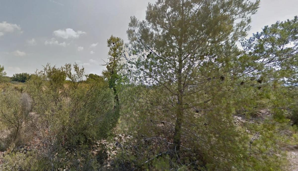 Terreno en venta en Vilamarxant, Valencia photo 5