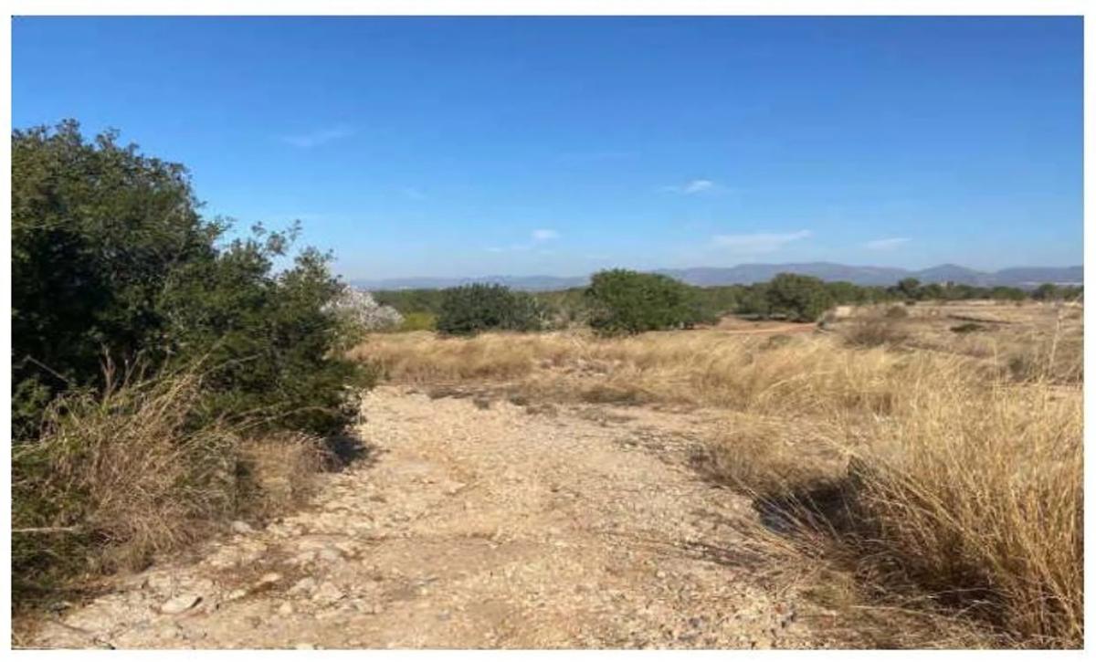 Terreno en venta en Bétera, Valencia photo 1