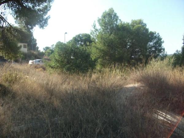 Terreno en Casinos photo 3
