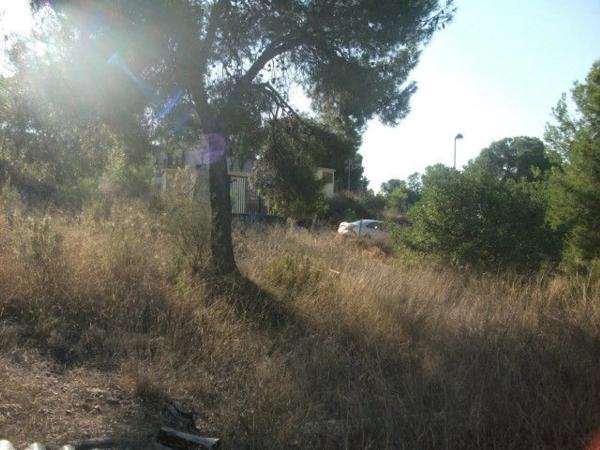Terreno en Casinos photo 4