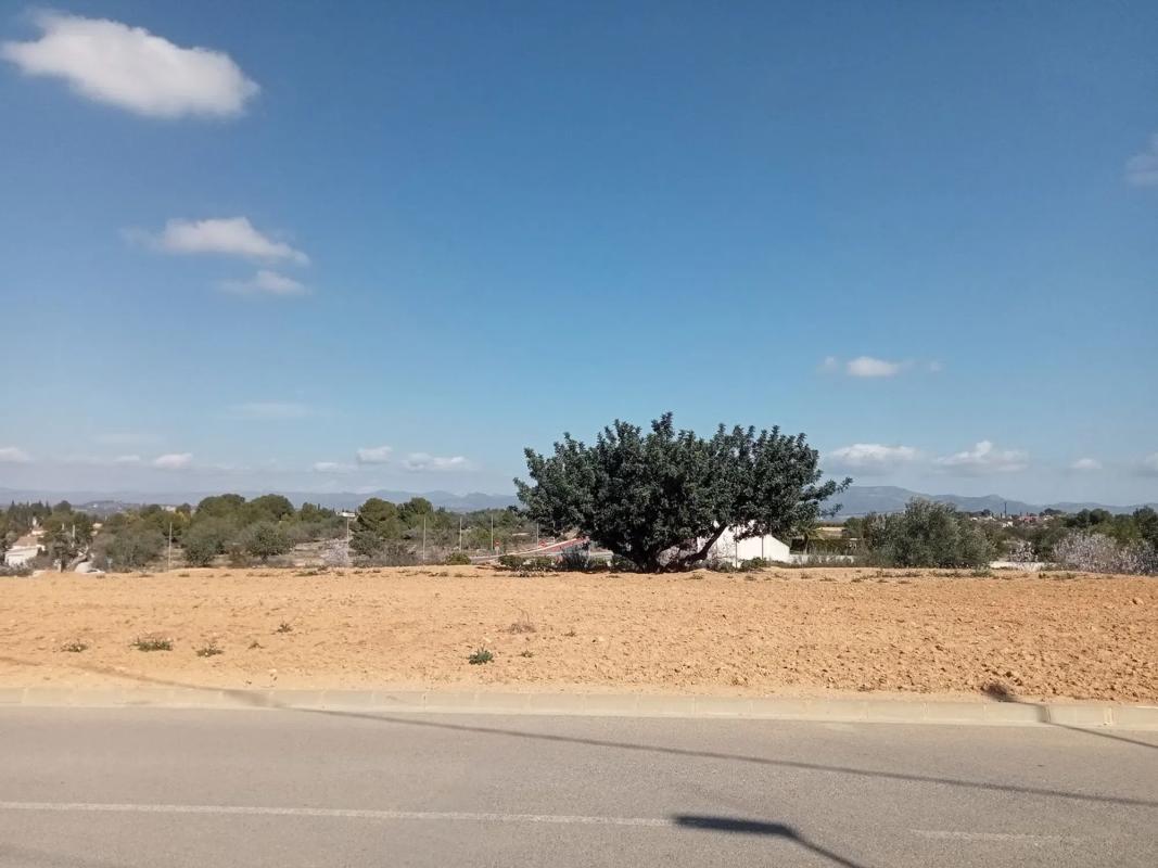 Land for sale in La Pobla de Vallbona, Valencia photo 4
