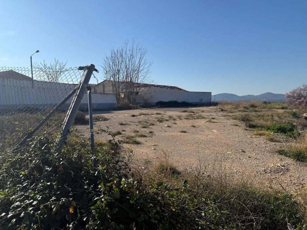 Land for sale in La Pobla de Vallbona, Valencia photo 5