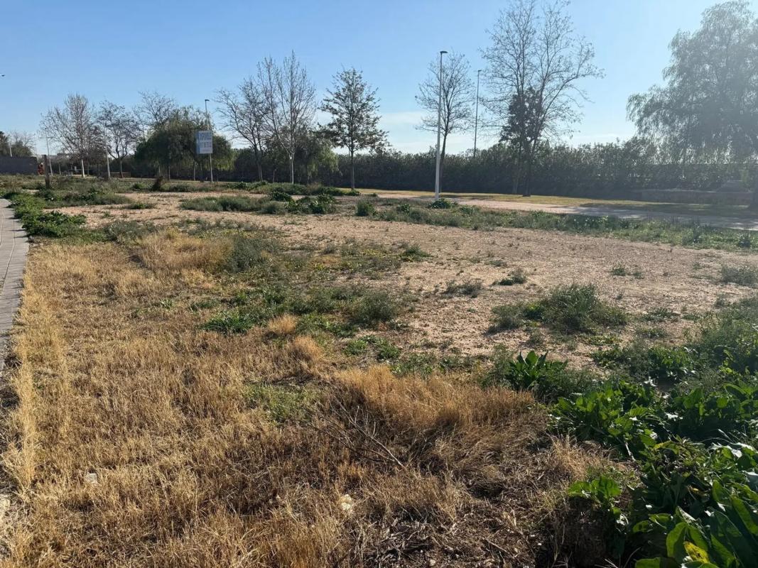 Land for sale in La Pobla de Vallbona, Valencia photo 3
