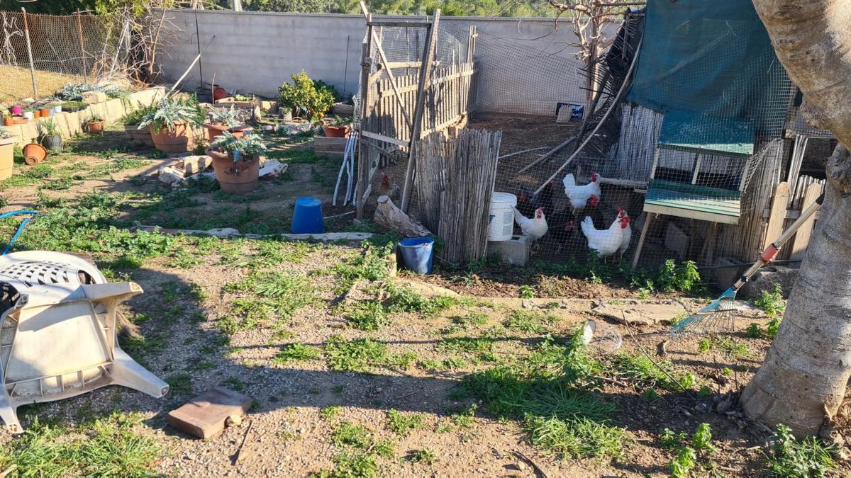 Terreno en venta en L'Eliana, Valencia photo 3