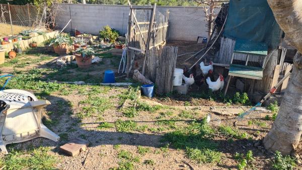 Terreno en Entrepinos photo 3
