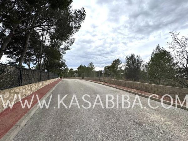 Terreno en calle Suiza photo 4