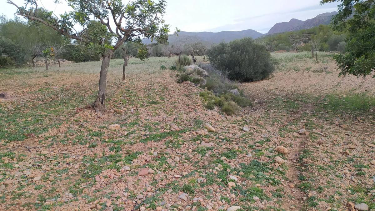 Land for sale in Llíria, Valencia photo 1
