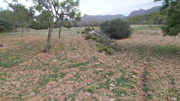 Terreno en Casco Antiguo photo 1