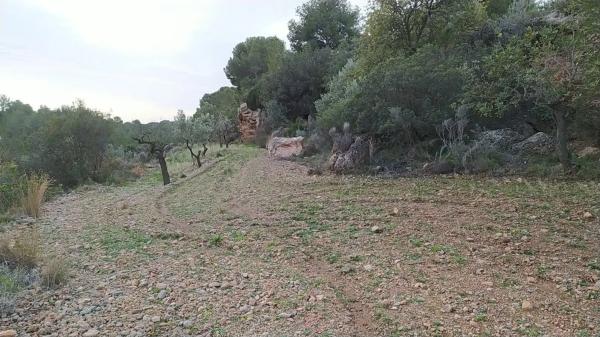Terreno en Casco Antiguo thumbnail 2