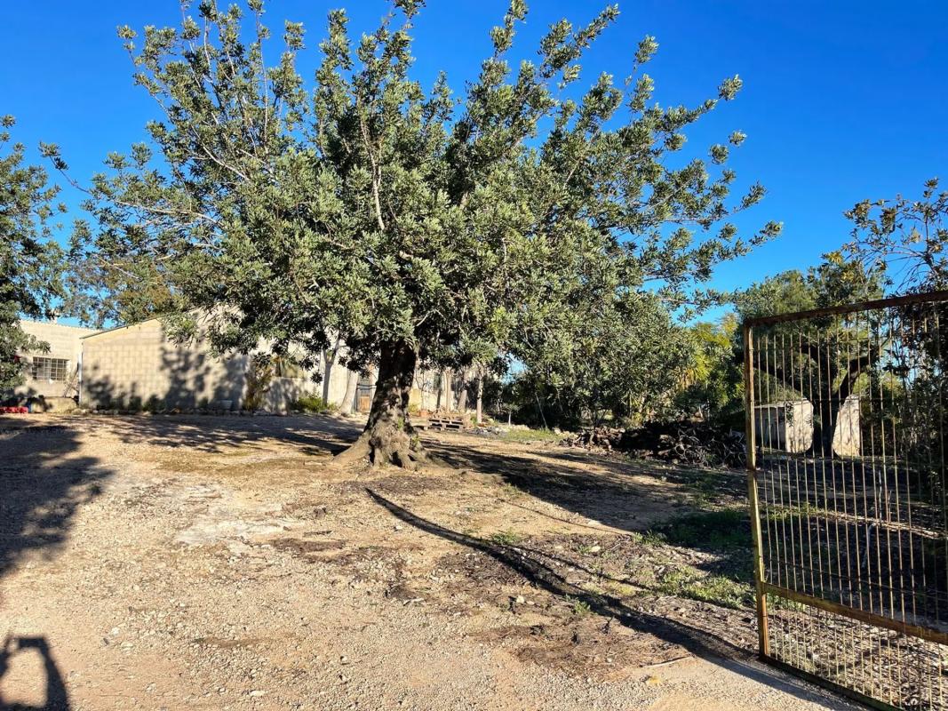 Terreno en venta en Vilamarxant, Valencia photo 2