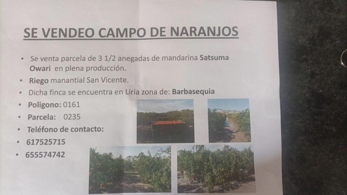 Участок земли на продажу в Ллирия, Валенсия photo 1