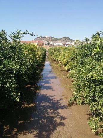 Terreno en via del Turia s/n thumbnail 2