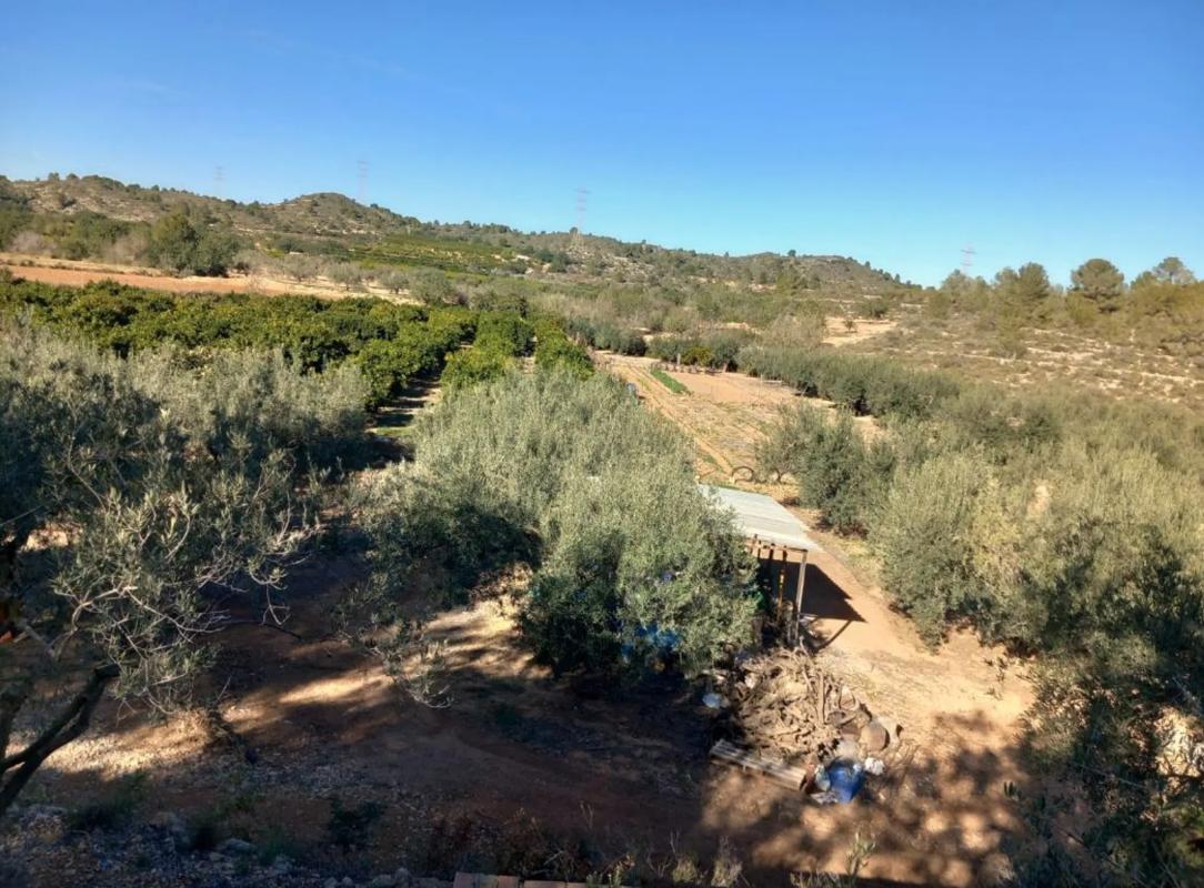 Terreno en venta en Riba-Roja de Túria, Valencia photo 5