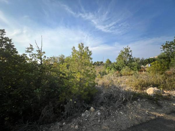 Terreno en N-26, 5 photo 2