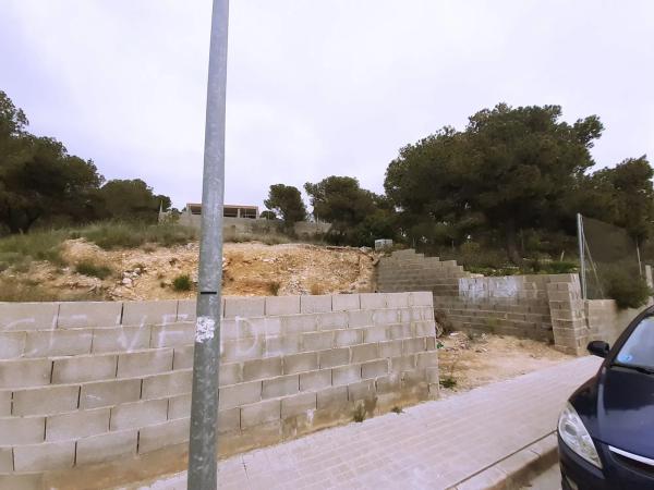 Terreno en Casinos photo 1