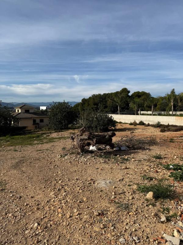 Land for sale in La Pobla de Vallbona, Valencia photo 1