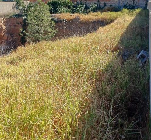 Terreno en Pla dels Aljubs photo 1