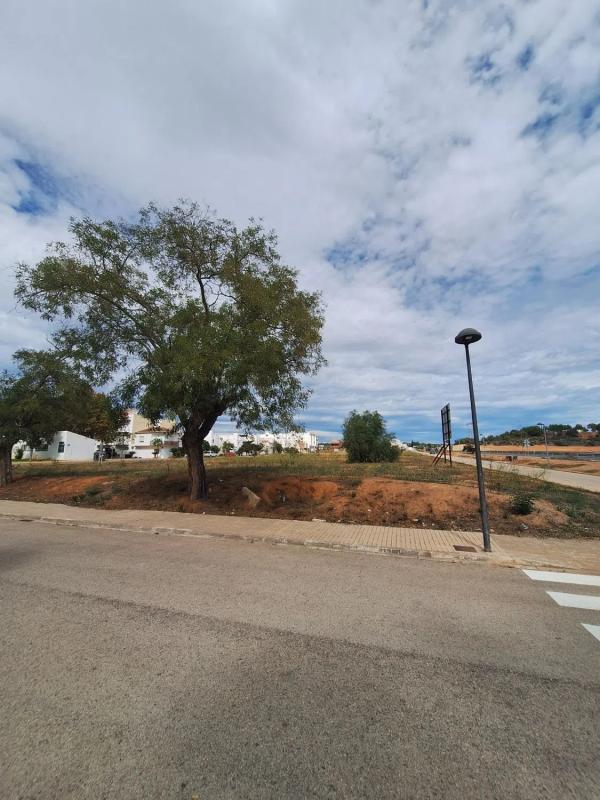 Terreno en venta en Loriguilla, Valencia photo 2