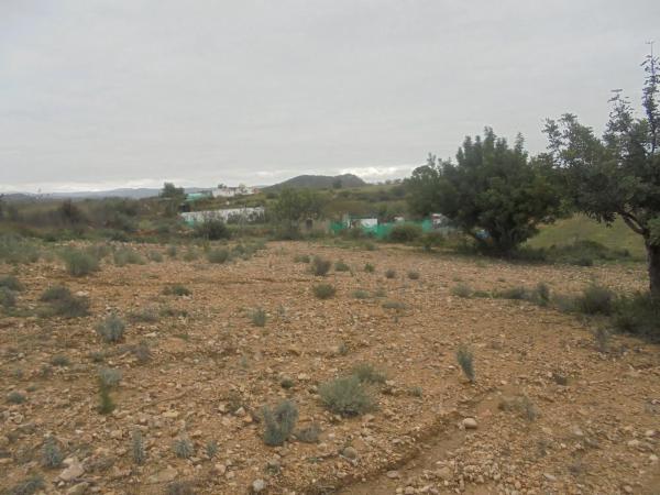 Terreno en Casinos photo 3