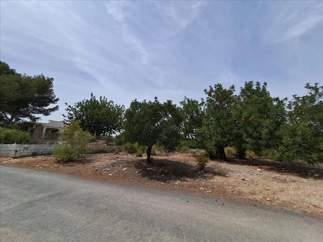 Land for sale in Bétera, Valencia photo 2
