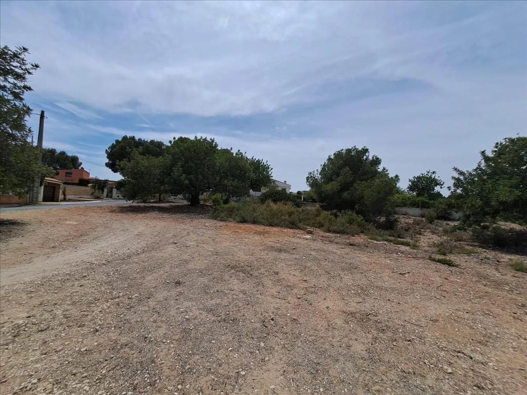 Land for sale in Bétera, Valencia photo 4