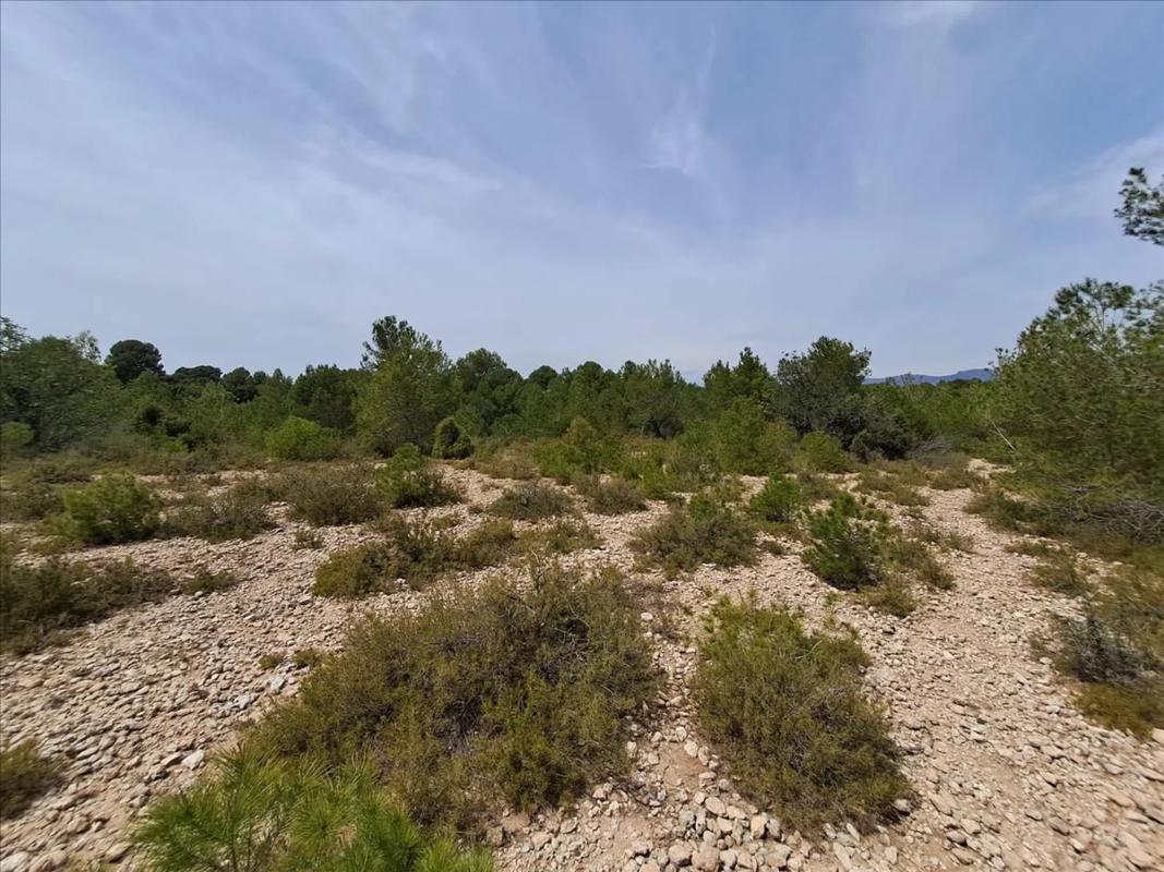 Land for sale in Bétera, Valencia photo 5