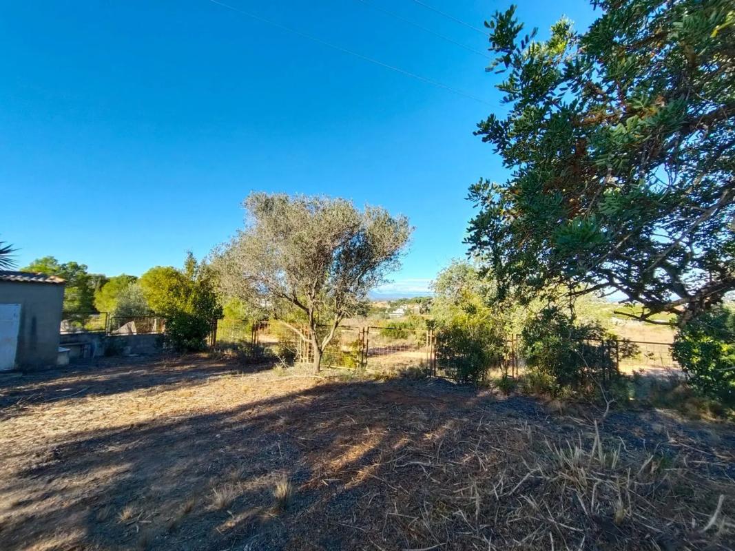 Land for sale in Bétera, Valencia photo 3