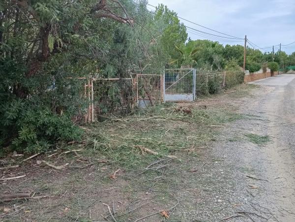 Terreno en calle Suiza photo 4