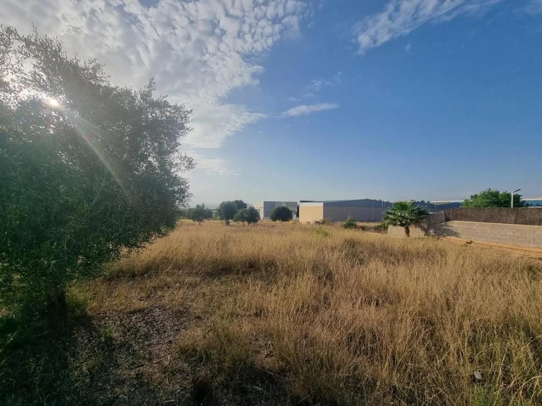 Terreno en venta en La Pobla de Vallbona, Valencia photo 2