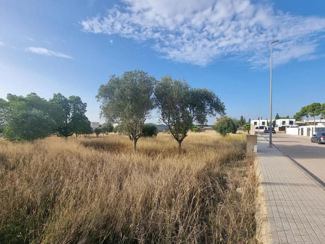 Terreno en venta en La Pobla de Vallbona, Valencia photo 3
