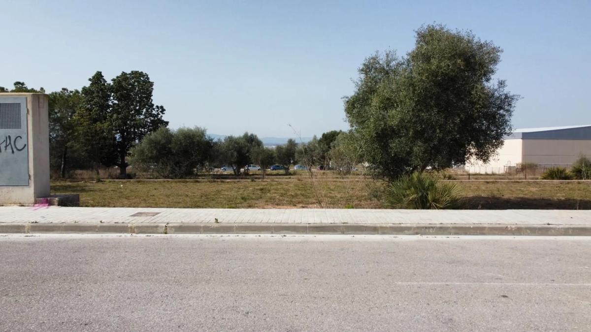 Terreno en venta en La Pobla de Vallbona, Valencia photo 5