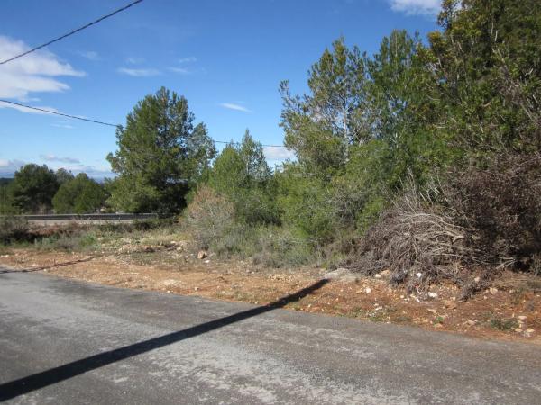 Terreno en calle Pla de la Torre photo 4