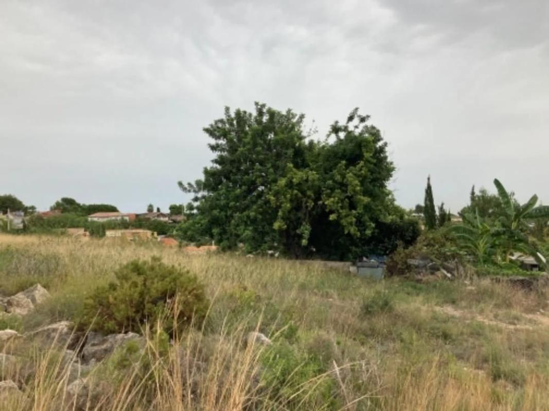 Land for sale in La Pobla de Vallbona, Valencia photo 1