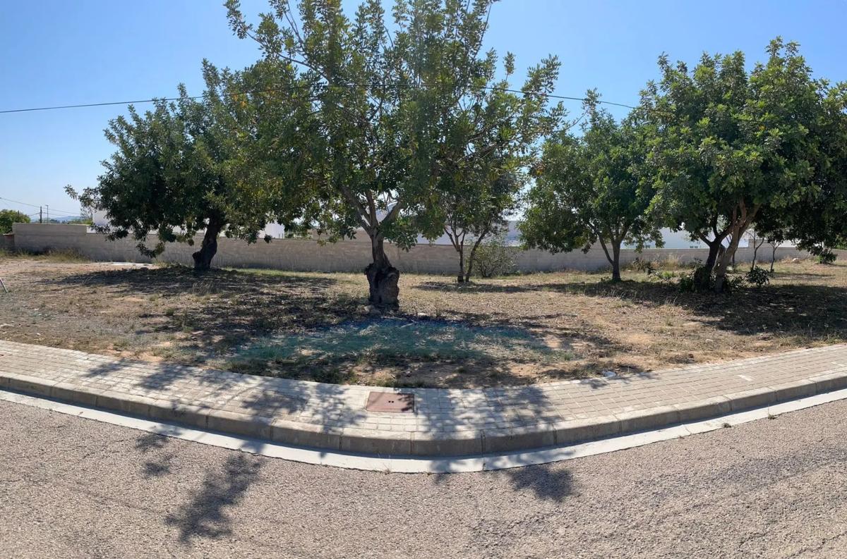 Land for sale in La Pobla de Vallbona, Valencia photo 1
