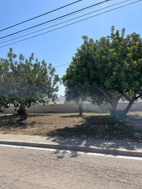 Land for sale in La Pobla de Vallbona, Valencia photo 2