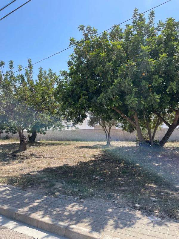 Land for sale in La Pobla de Vallbona, Valencia photo 3