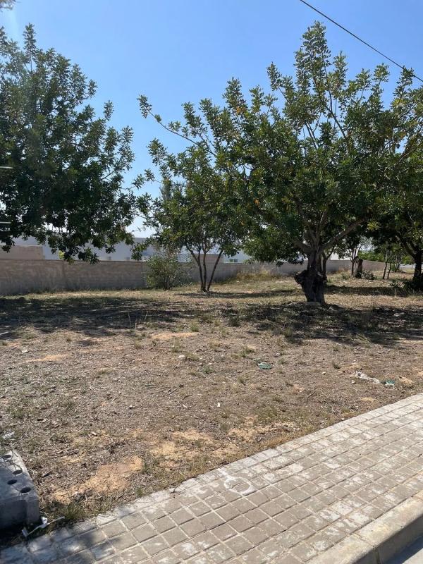 Land for sale in La Pobla de Vallbona, Valencia photo 4