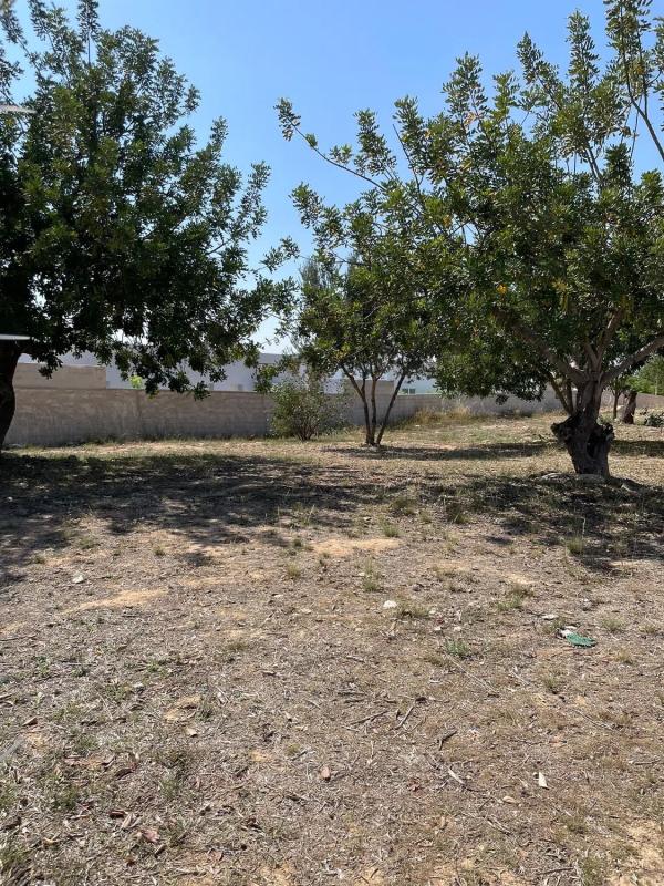 Land for sale in La Pobla de Vallbona, Valencia photo 5