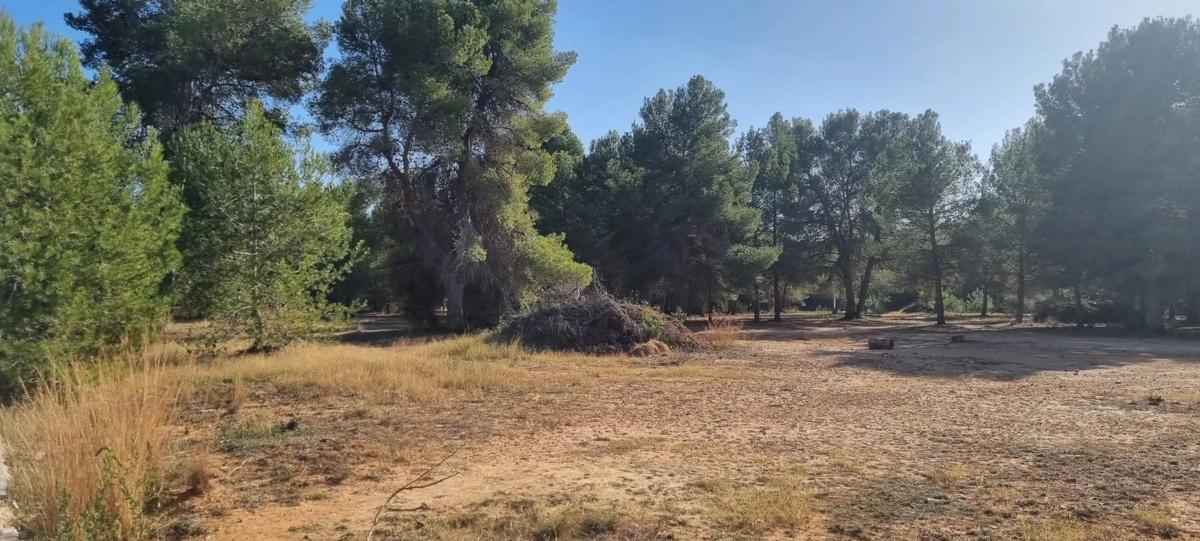 Terreno en venta en L'Eliana, Valencia photo 4