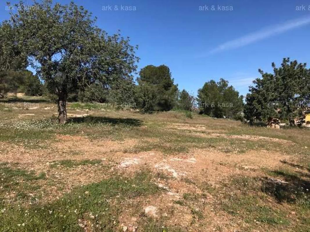 Land for sale in La Pobla de Vallbona, Valencia photo 1